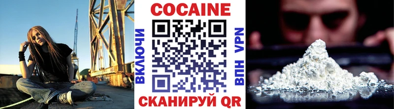 COCAIN Эквадор  Купить закладки  Каргополь 
