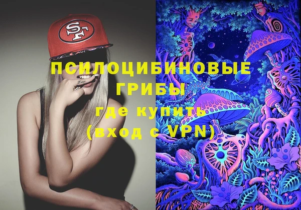 крисы Заводоуковск