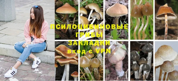 крисы Заводоуковск