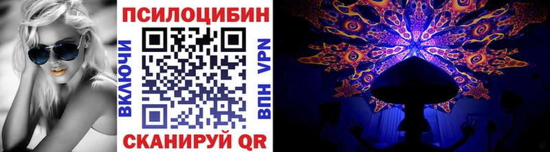 Купить  Каргополь  Галлюциногенные грибы Magic Shrooms 