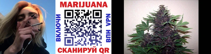 Канабис сатива  Купить где  Каргополь 